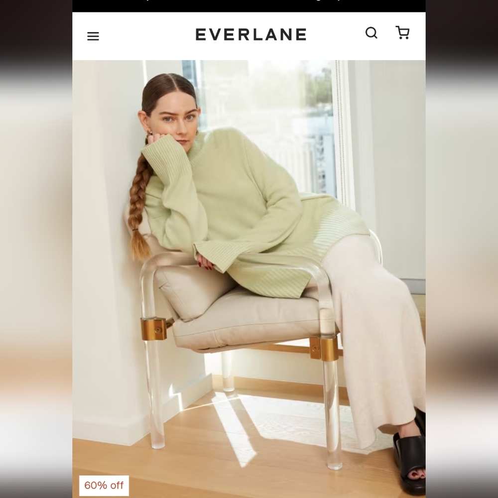 Everlane The Cashmere Oversized Turtleneck Seafoam Green